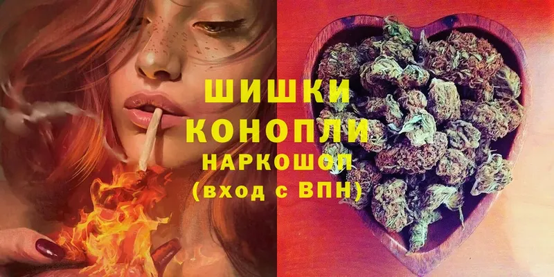 Канабис White Widow  KRAKEN ТОР  Кингисепп 